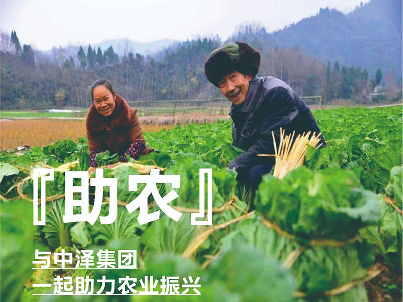 爱心助农，，，，，，，金沙9001cc以诚为本在行动
