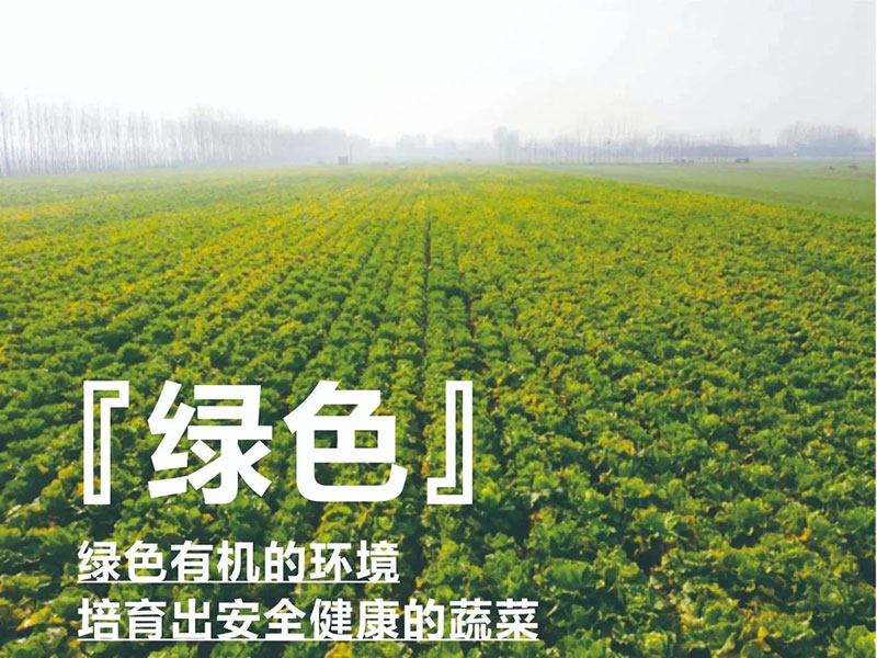 爱心助农，，，，，，，金沙9001cc以诚为本在行动